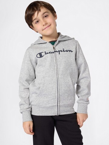 Champion Authentic Athletic Apparel Mikina – šedá: přední strana