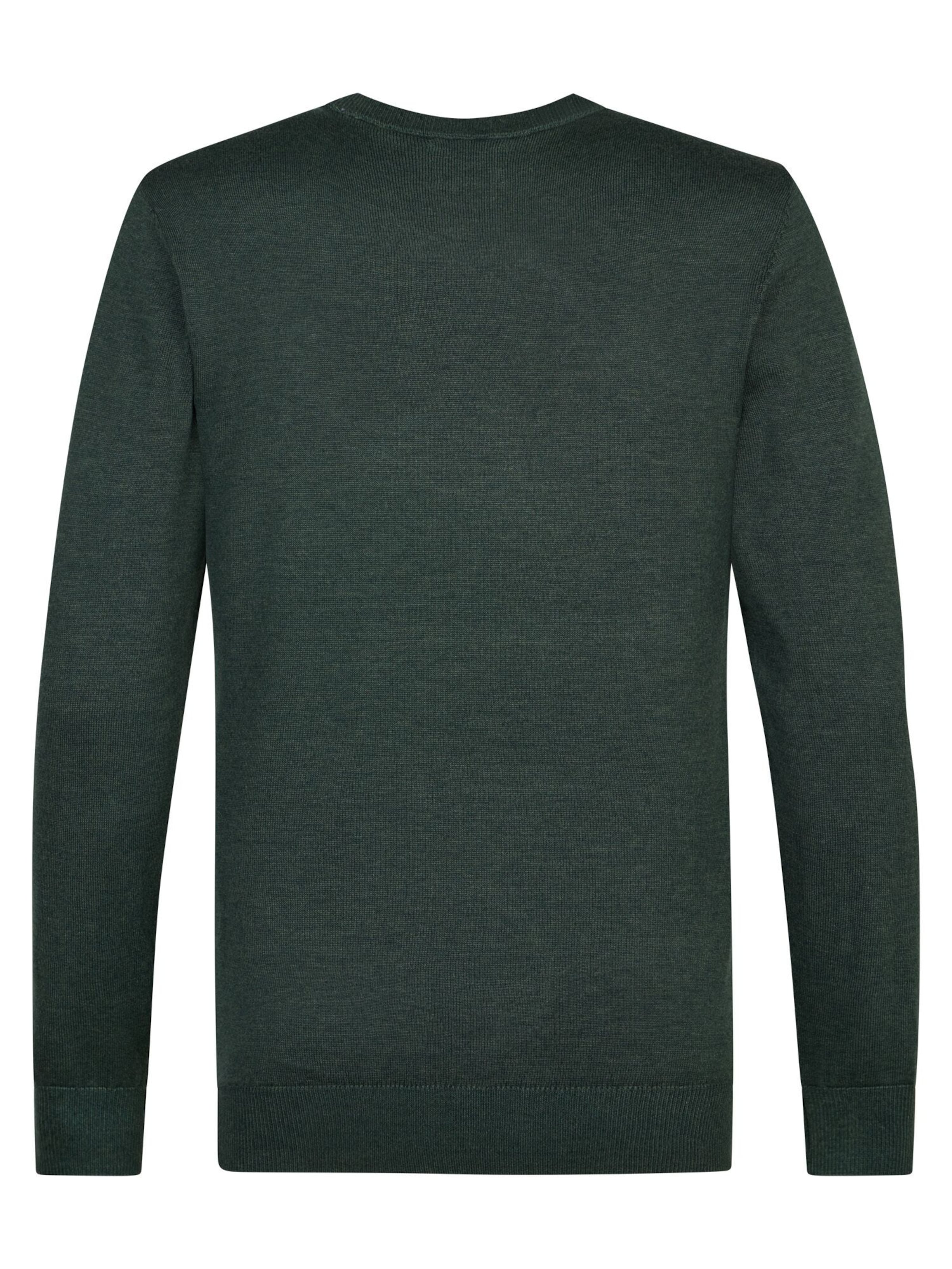 Petrol Industries Sweater in Green