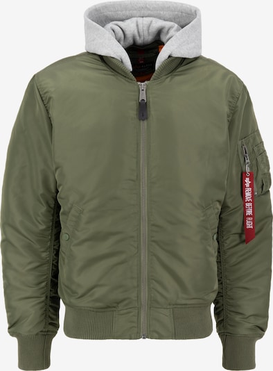 ALPHA INDUSTRIES Zimska jakna | siva / zelena / mešane barve barva, Prikaz izdelka
