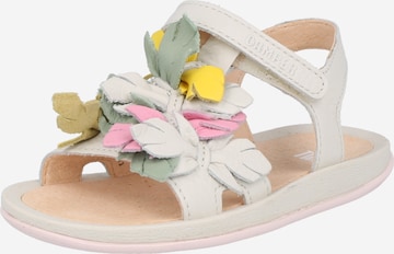 CAMPER Sandals & Slippers in White: front