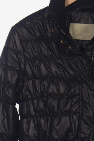 GAS Jacket & Coat in XXL in Black
