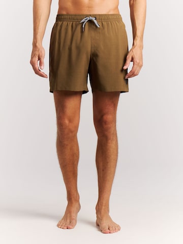 Shorts de bain 'Davey' PROTEST en marron : devant