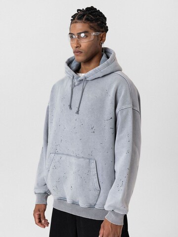 Dandalo Sweatshirt 'Makson' i grå