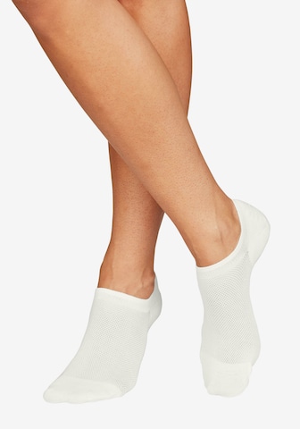 BENCH Ankle socks in Beige: front