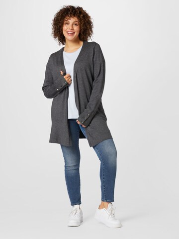 Dorothy Perkins CurveMajica - plava boja
