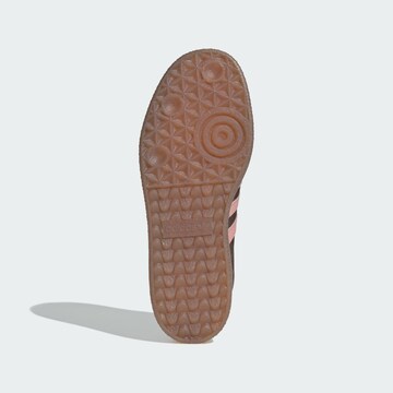 Baskets basses 'Sambae' ADIDAS ORIGINALS en marron