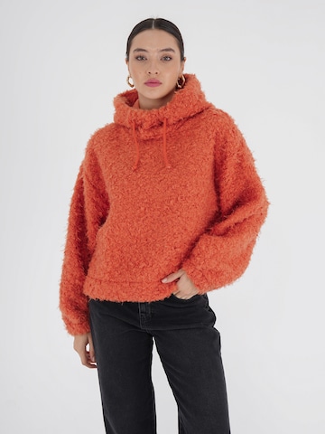 FRESHLIONS Sweatshirt in Orange: predná strana