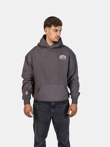 Crystal Paris Sweatshirt 'Nightwolf' in Grey: front