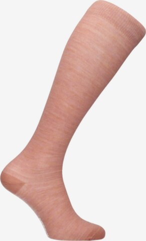 Merino Love Socks 'The Long Kniekousen' in Pink: front