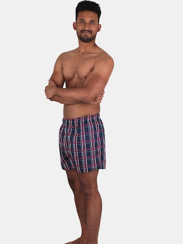 wavebreaker Board Shorts in Blue