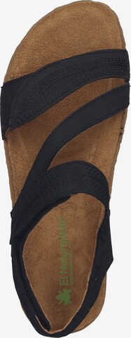 EL NATURALISTA Sandalen met riem in Zwart