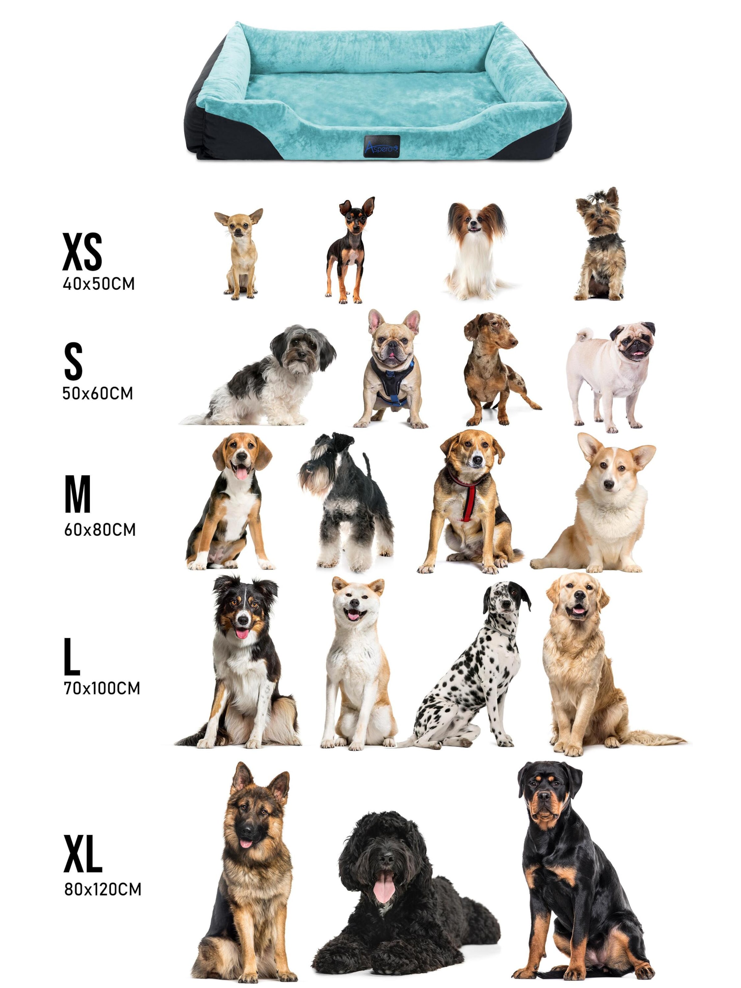 Aspero Accessoires voor dieren 'Hanko' in Blauw