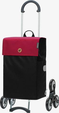 Trolley ' Hera ' di Andersen Shopper in nero: frontale
