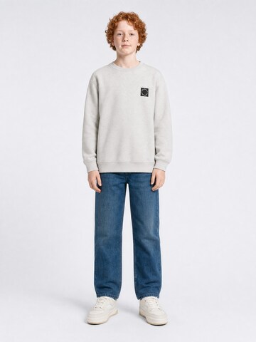 Petrol Industries Sweatshirt in Grijs