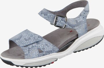 Xsensible Sandals in Blue: front