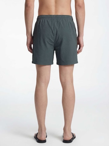 TRAPP Плавки в Зеленый