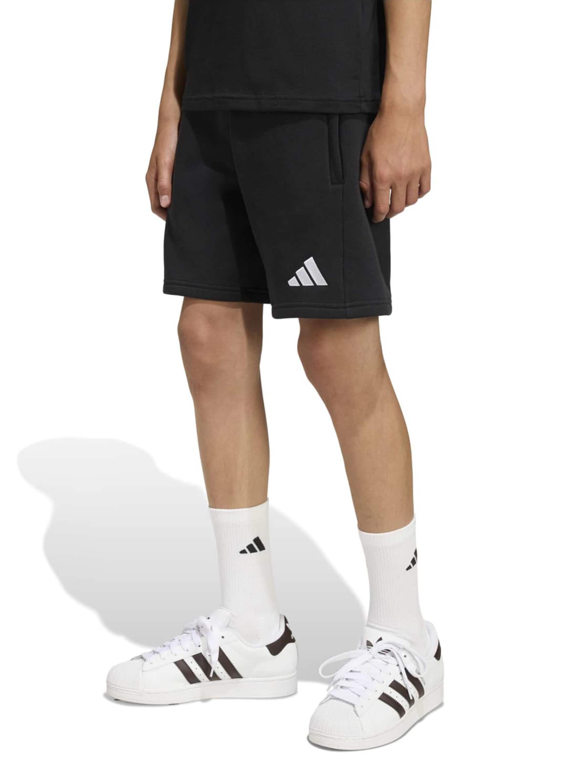 ADIDAS PERFORMANCE - regular Pantalón deportivo 'ENT26' en negro: frente