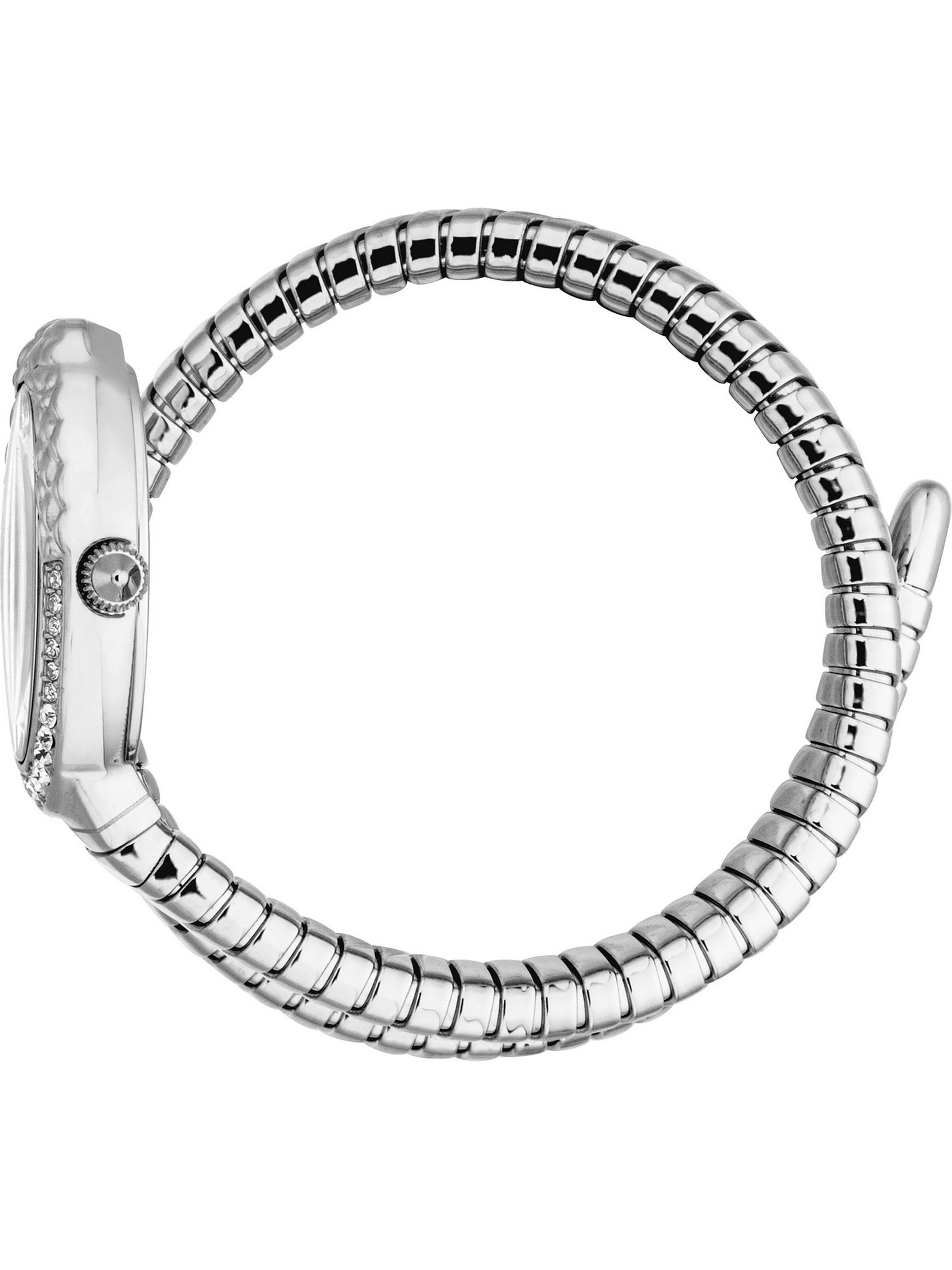 Just Cavalli Uhr in Silber