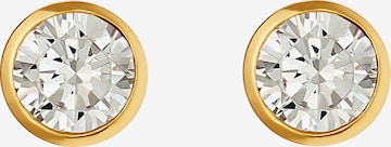 Heideman Earrings in Gold: front