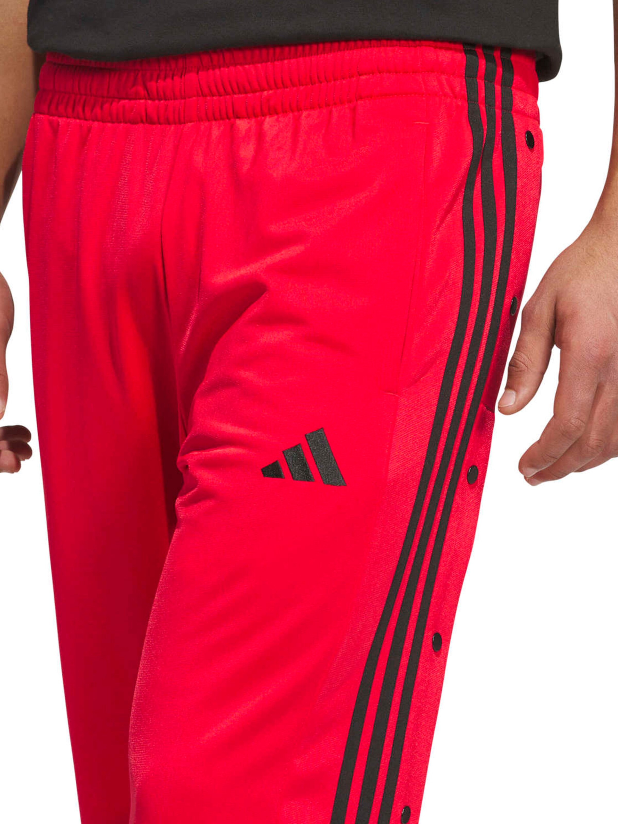 ADIDAS SPORTSWEAR tavaline Spordipüksid, värv punane