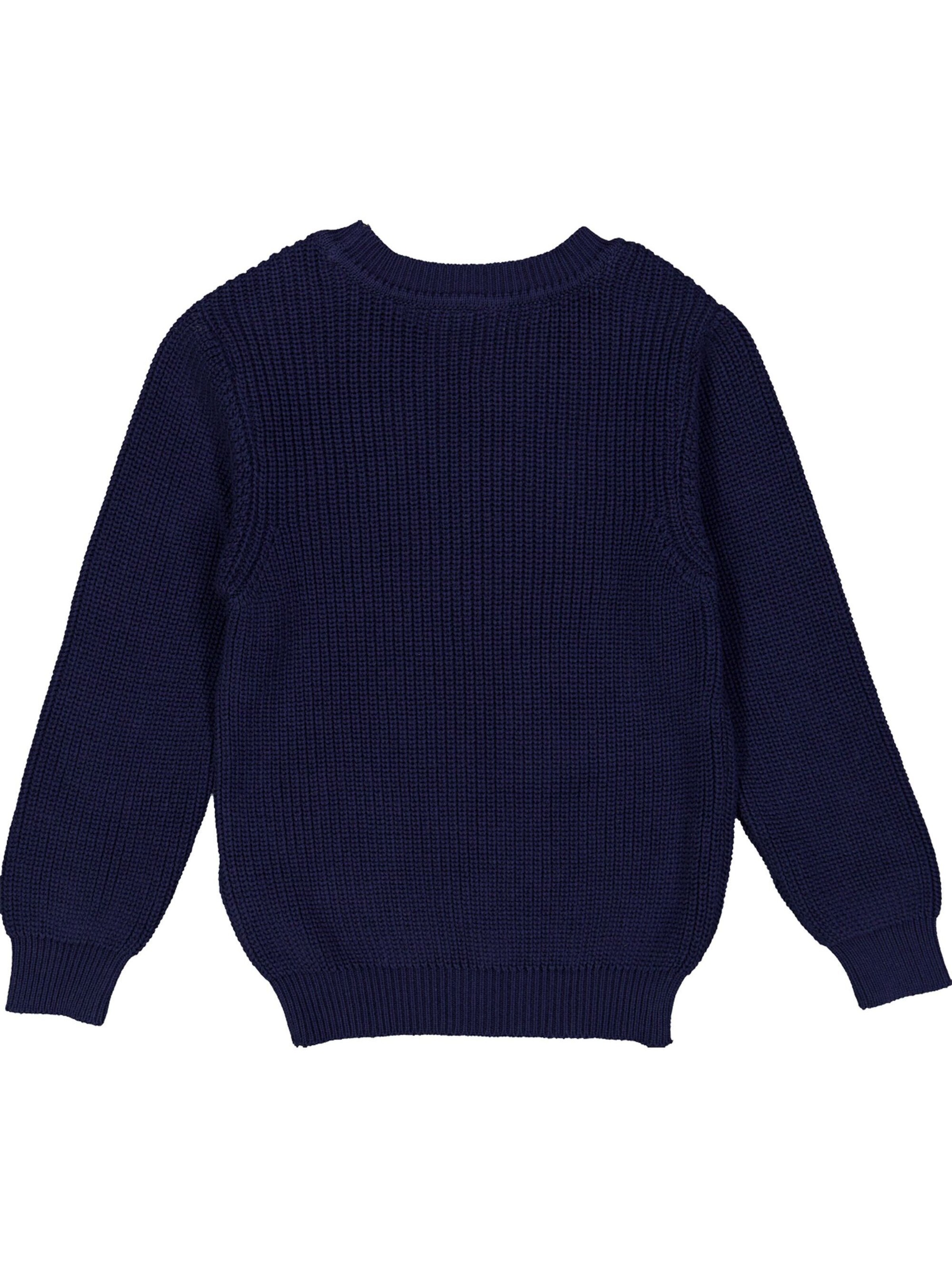 Fred's World by GREEN COTTON Pullover in Blau