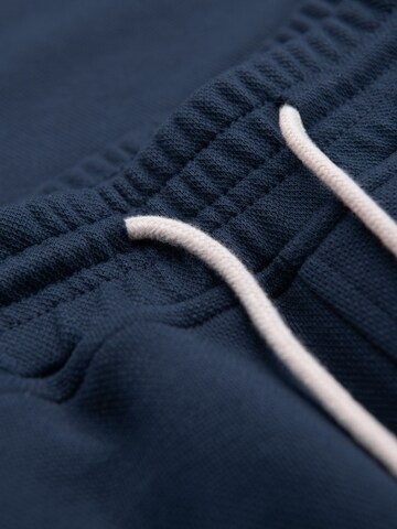 Ombre Regular Pants in Blue