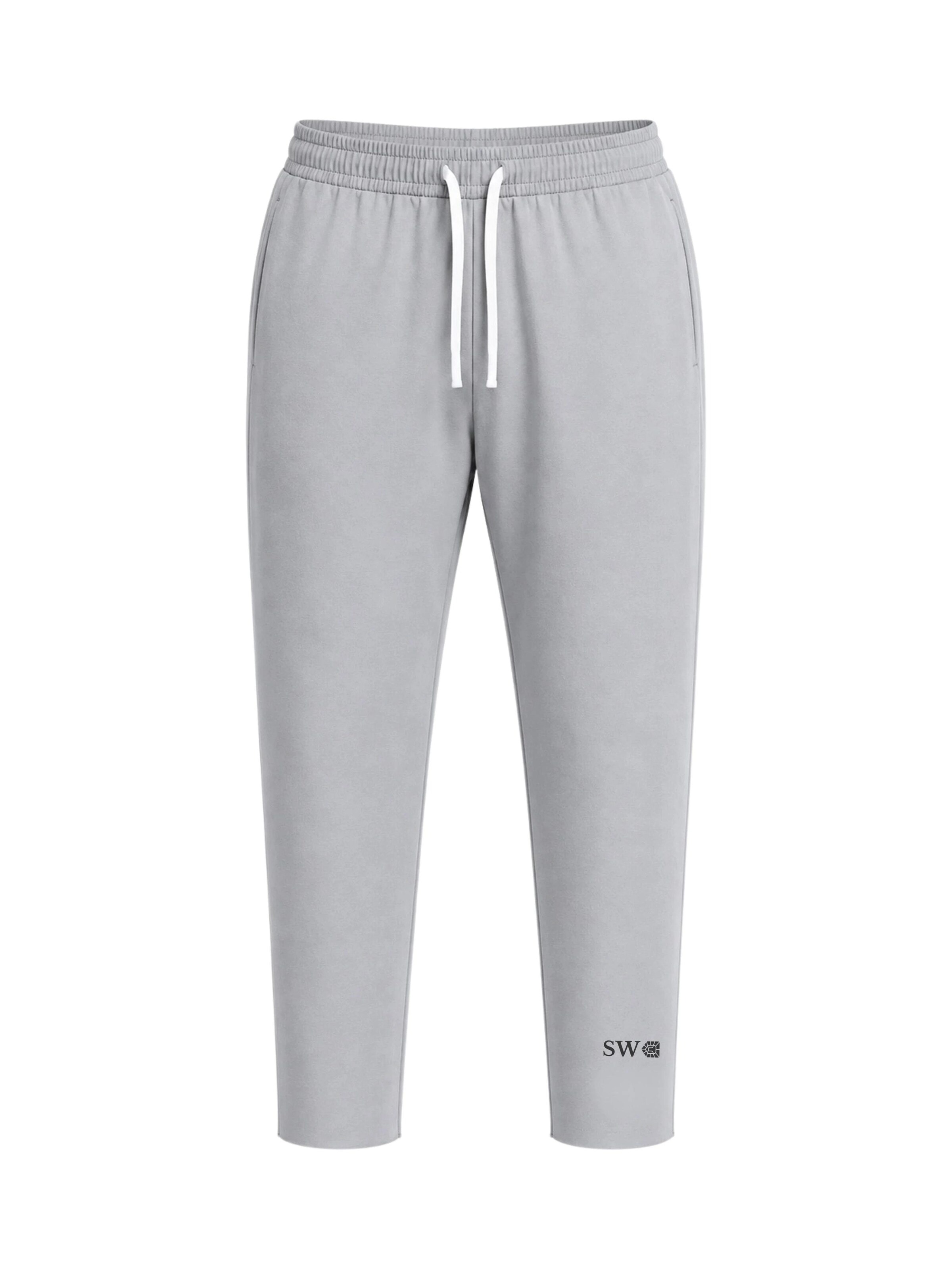 SWORTS Regular Workout Pants 'SUITE' in Grey: front