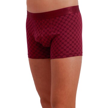 JOOP! Boxer shorts in Mixed colours