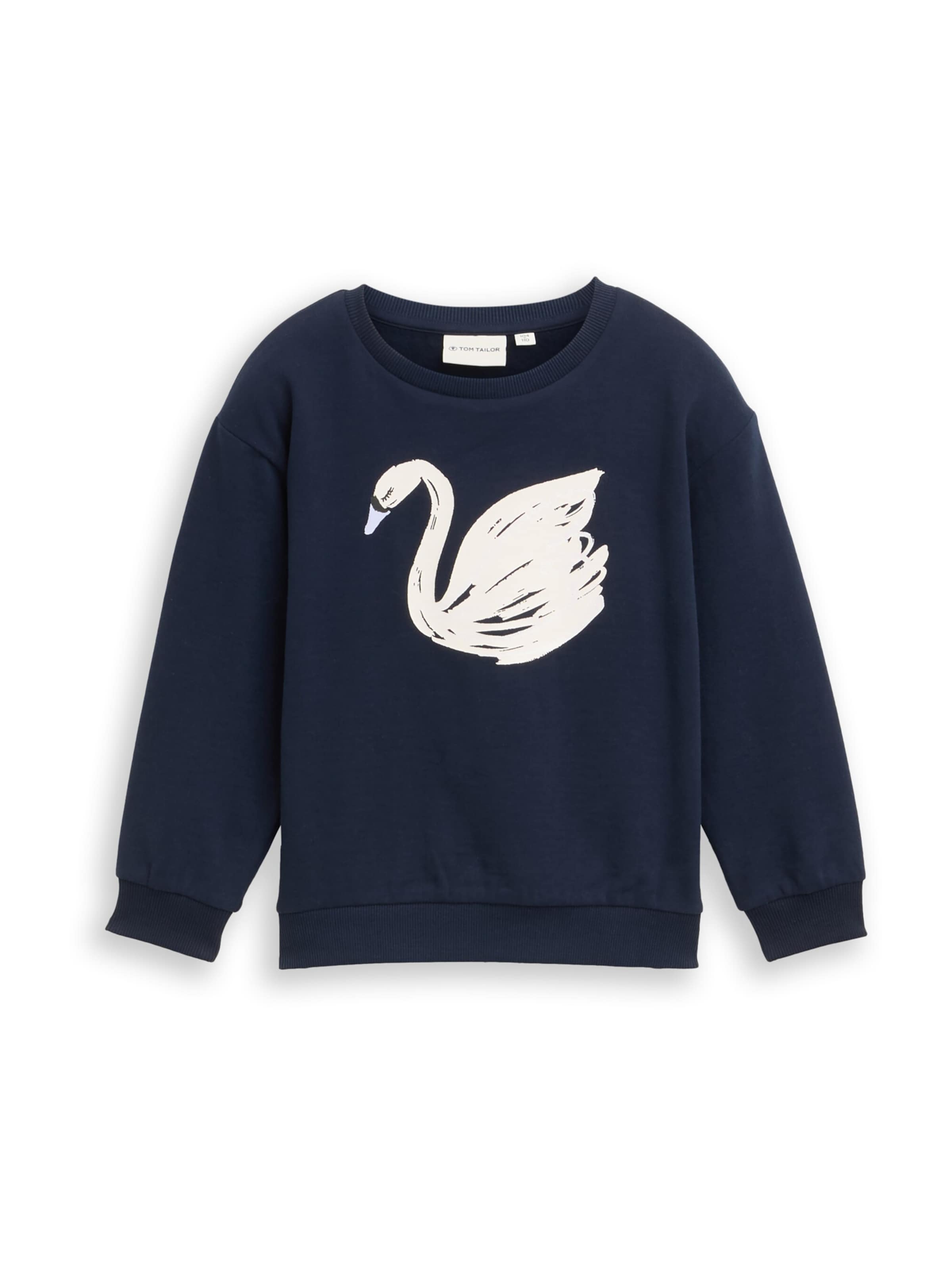 TOM TAILOR Sweatshirt in Blue: front