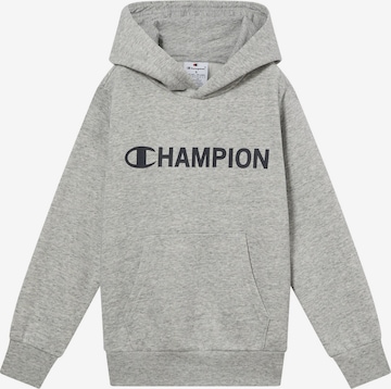 pilka Champion Authentic Athletic Apparel Megztinis be užsegimo: priekis