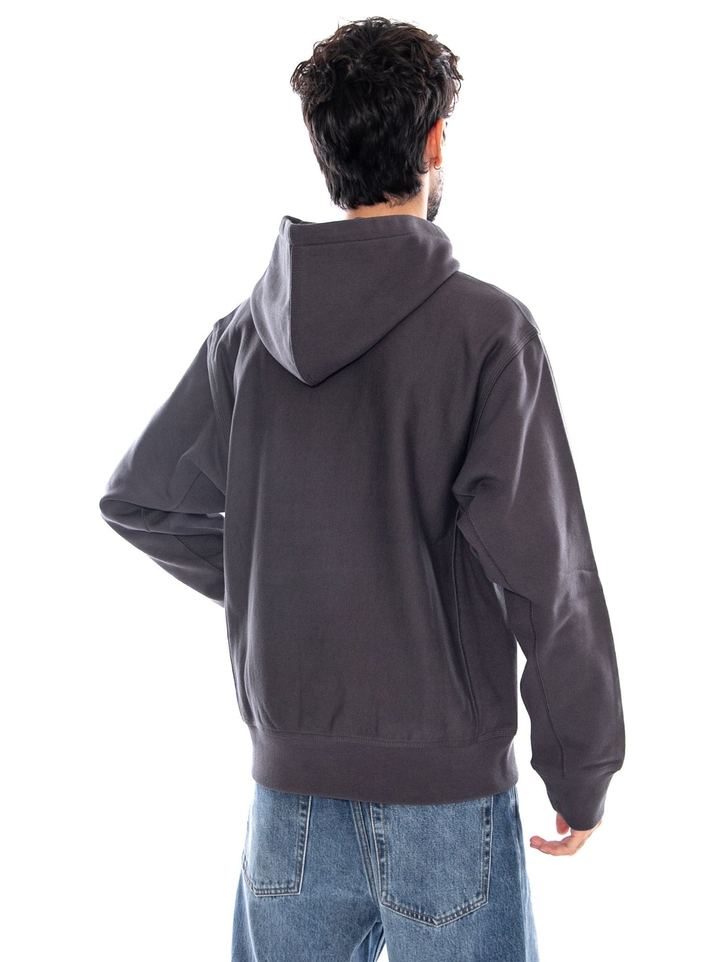 Carhartt WIP Sweatshirt 'HOODED AMERICAN SCRIPT SWEAT GRAPHITE' in Grijs