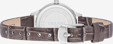 Trilani Analog Watch in Silver