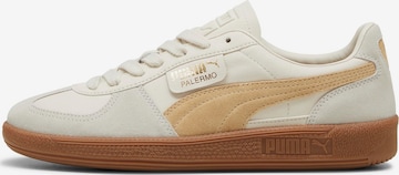 Baskets basses 'Palermo' PUMA en blanc : devant