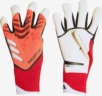 ADIDAS PERFORMANCE Athletic Gloves 'Predator' in Red: front