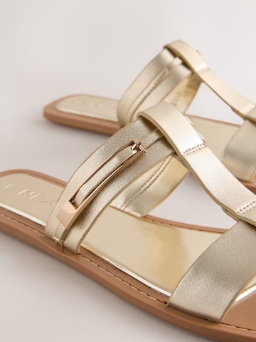Mule Next en or