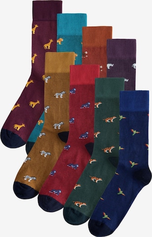 Next Socken in Blau: Vorderseite