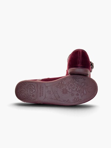 Pisamonas Ballerina‌‌‌‌‌‌‌‌‌ in Rot
