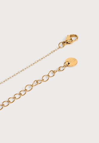 Liu Jo Necklace in Gold