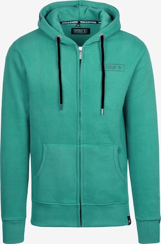 SPITZBUB Sweatshirt ' Nils ' in Green: front