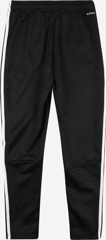 ADIDAS SPORTSWEAR Regular Workout Pants 'Designed To Move 3-Stripes' in Black