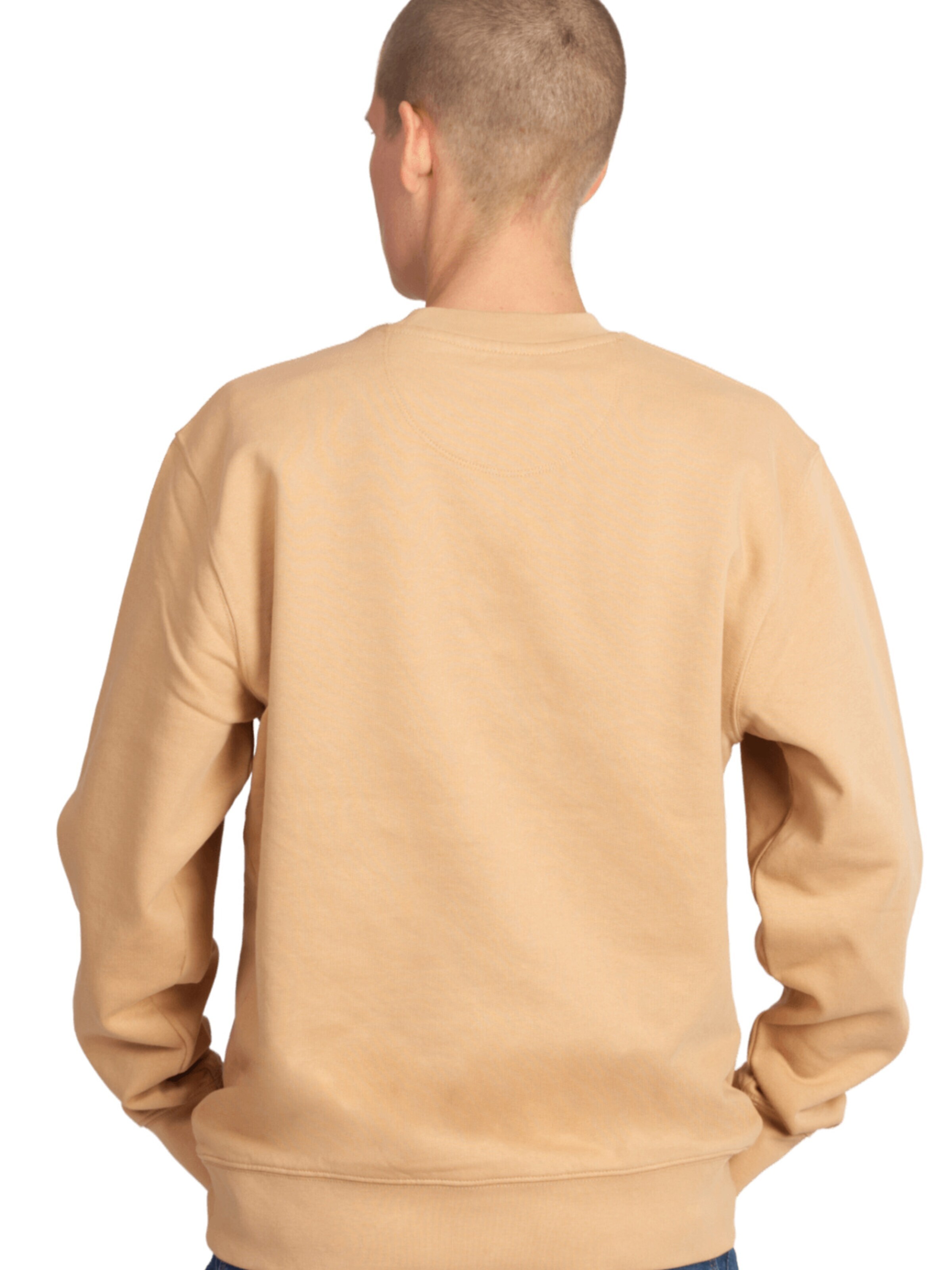 Life-Tree Pullover 'Organic Fairwear'‌‌‌‌‌‌‌ in Beige