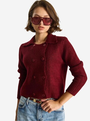 Bianco Lucci Strickjacke in Rot