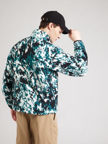 THE NORTH FACE Pullover 'FLEESKI' in Grün