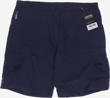 SALEWA Shorts in L in Blue: front