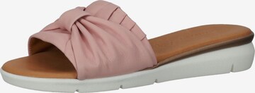 SALAMANDER Mules in Pink: front