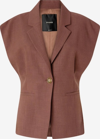 PINKO Tussenjas 'PINKO FLOELLA GIACCA FRISOTTINO GIACCA' in Bruin: voorkant