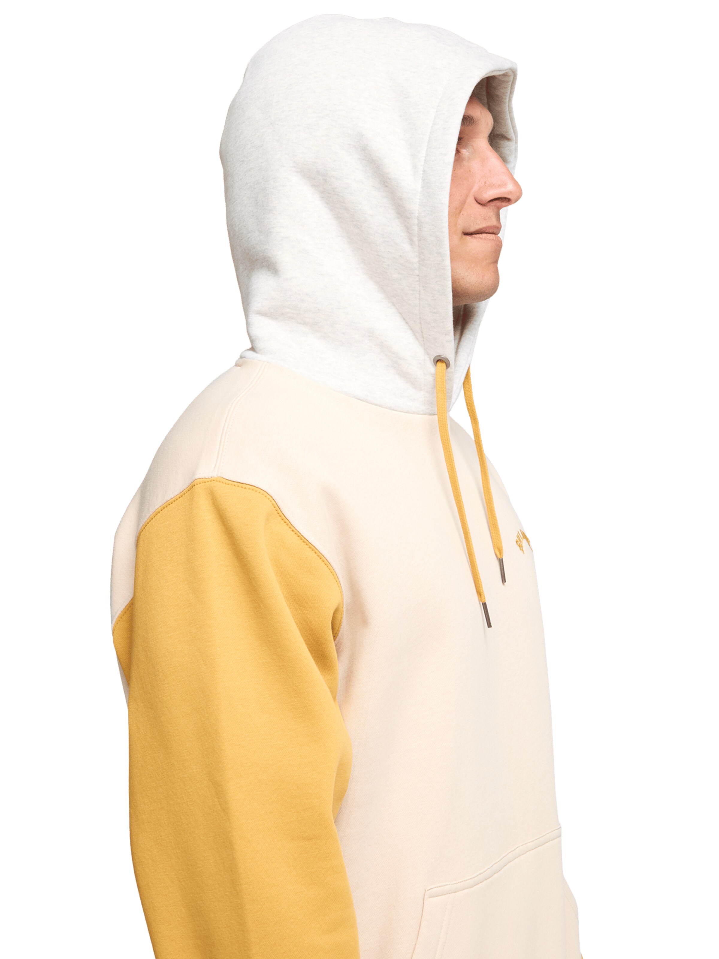 BILLABONG Sweatshirt 'Arch Block Po' in Pink