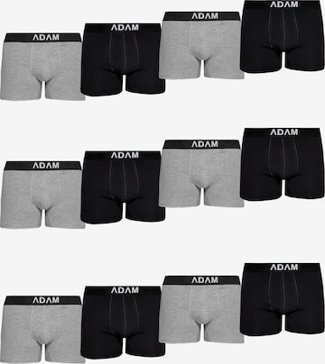 Adam Boxer shorts '12er Pack' in Grey: front