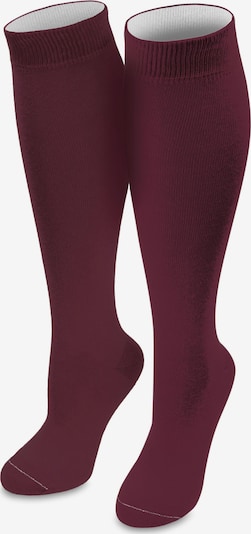 normani Kniekousen in de kleur Lichtgrijs / Bordeaux, Productweergave