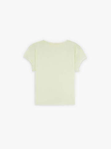 Scalpers T-shirt 'Zigzag Skull' i grön